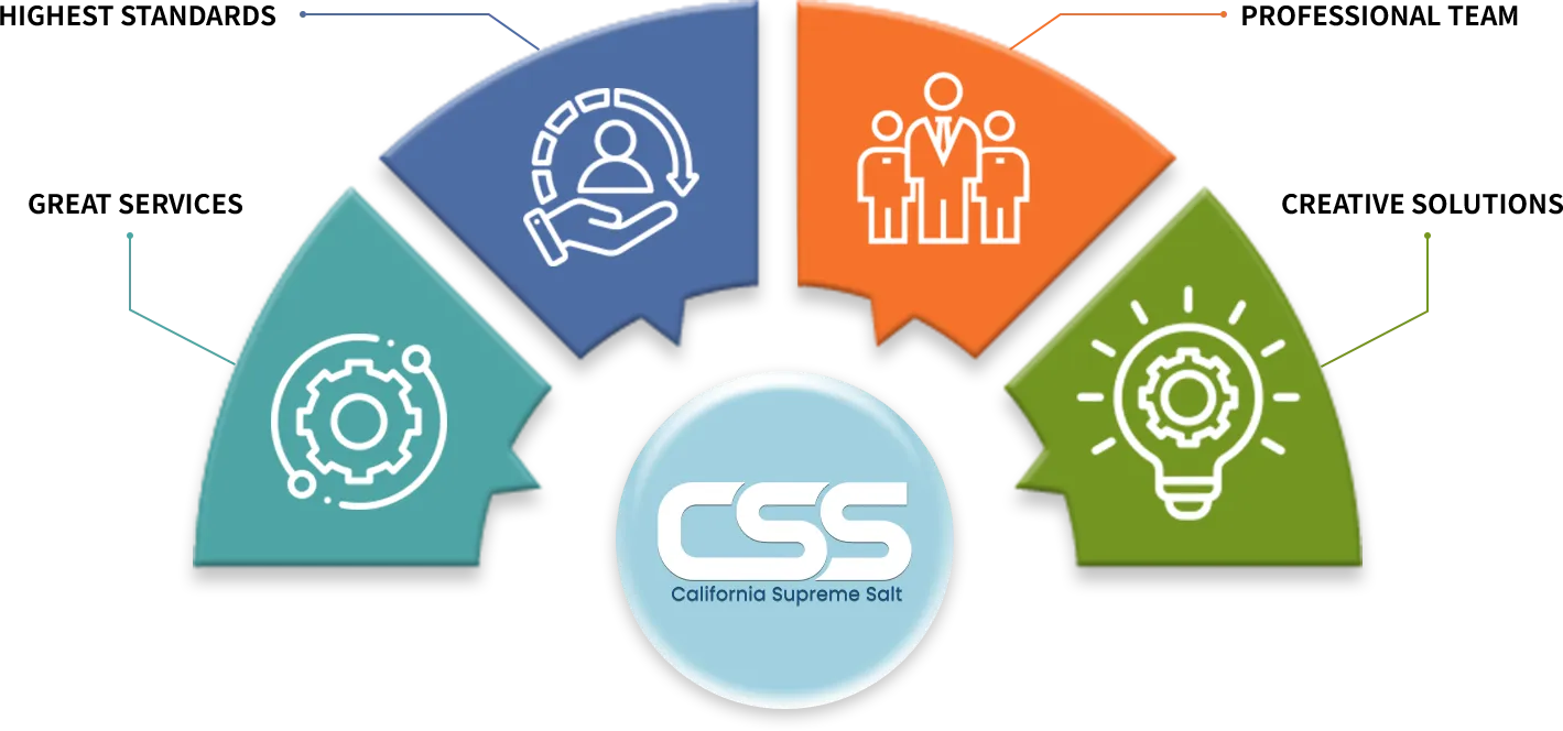 CSS Group